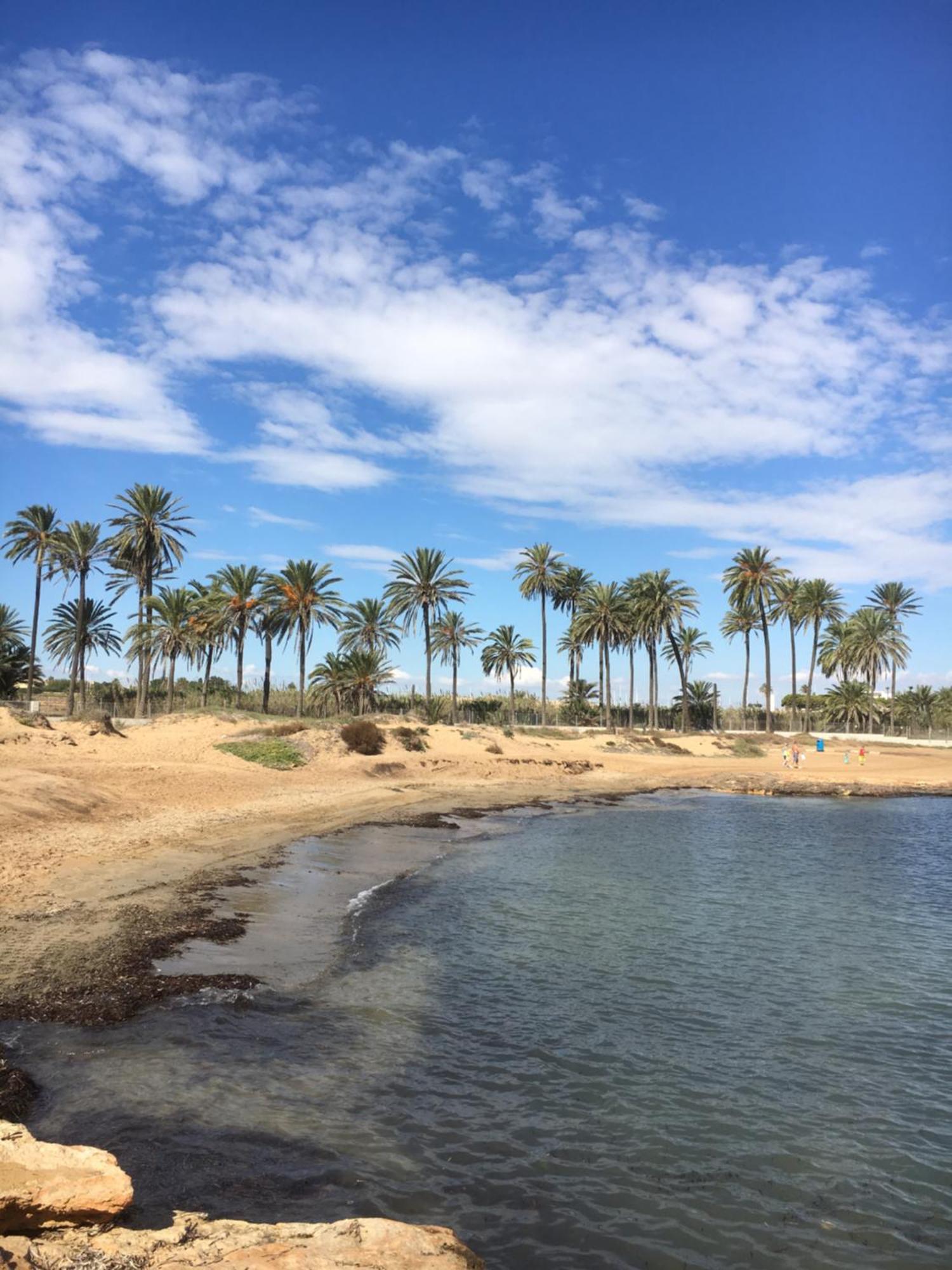 Feriehus Alicante ตอร์เรเวียคา ภายนอก รูปภาพ