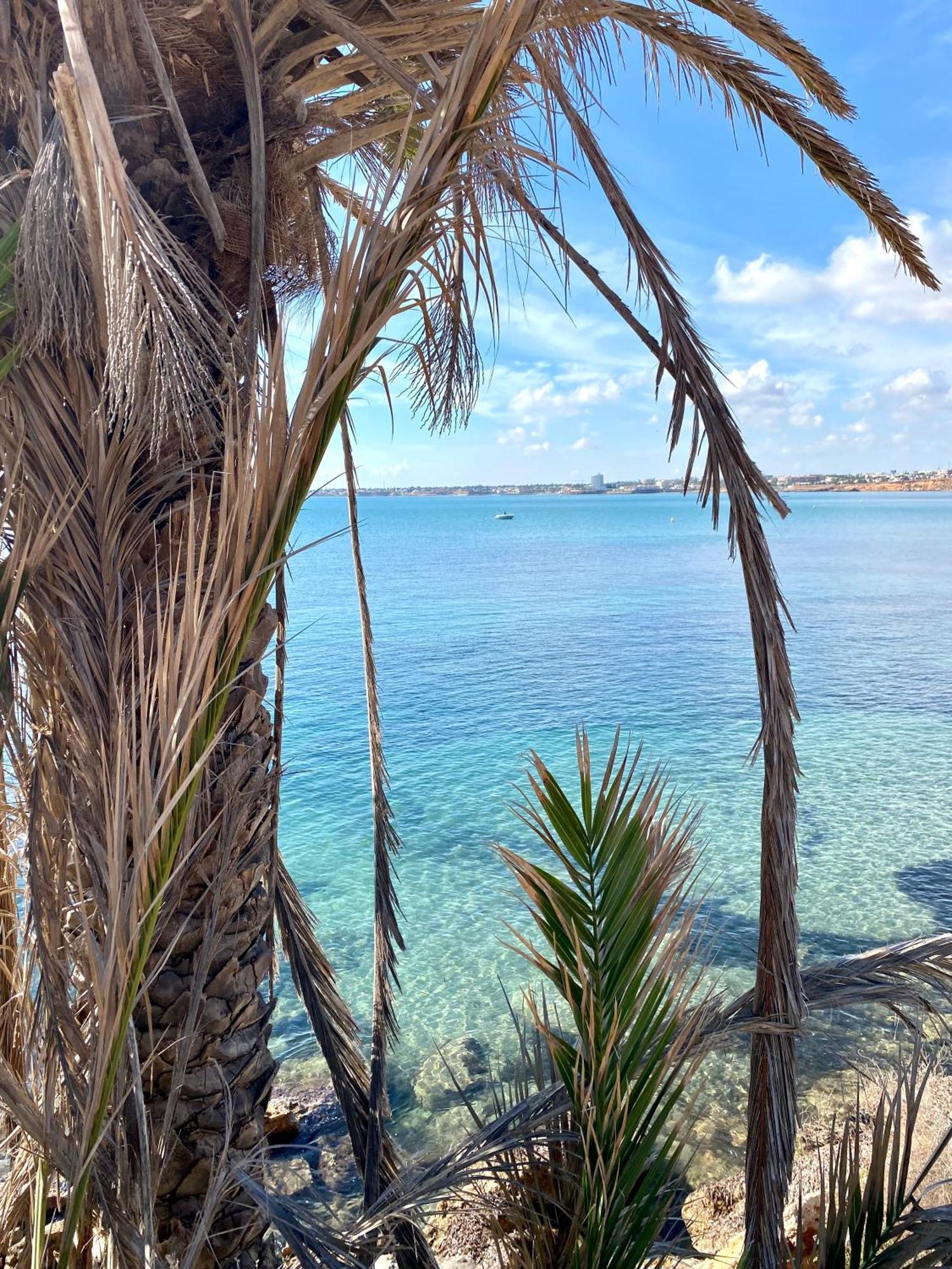 Feriehus Alicante ตอร์เรเวียคา ภายนอก รูปภาพ